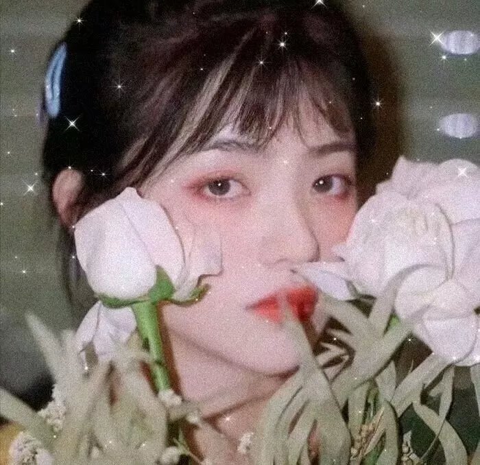 羽毛
